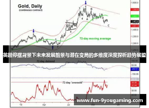 英超停摆背景下未来发展前景与潜在变局的多维度深度探析趋势展望