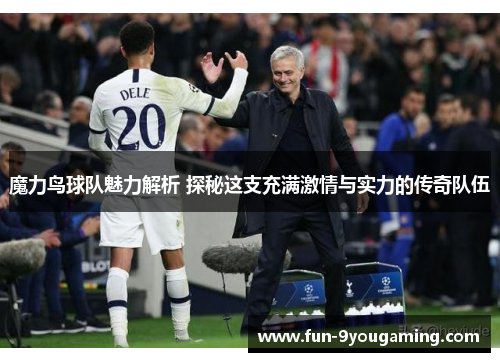 魔力鸟球队魅力解析 探秘这支充满激情与实力的传奇队伍